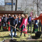 Quittenbaumpflanzung (Partnerbaum zum Echinger Lutherbaum in Wittenberg vom Oktober 2011) am 26. März 2017